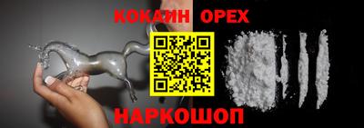 apvp Кингисепп