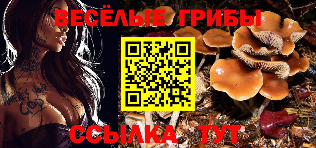 Куйбышев  Галлюциногенные грибы Psilocybine cubensis  Вход с VPN 