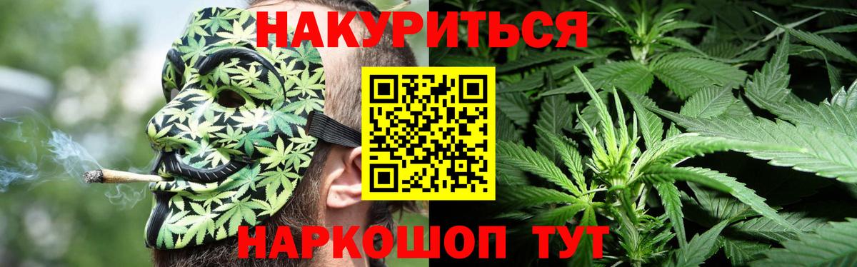 Каннабис гибрид Куйбышев